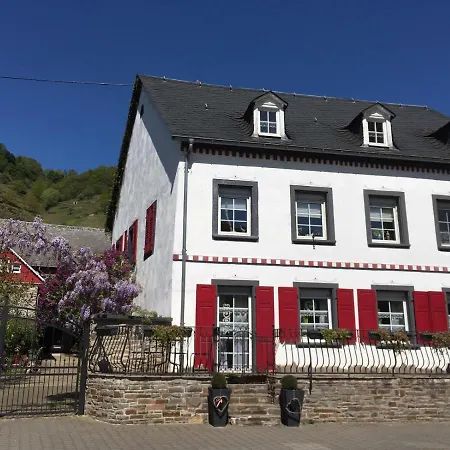 Villa Alter Winzerhof Hatzenport Exterior foto