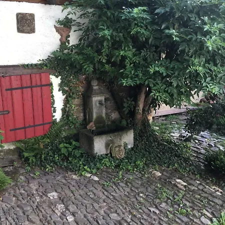 Villa Alter Winzerhof Hatzenport Exterior foto