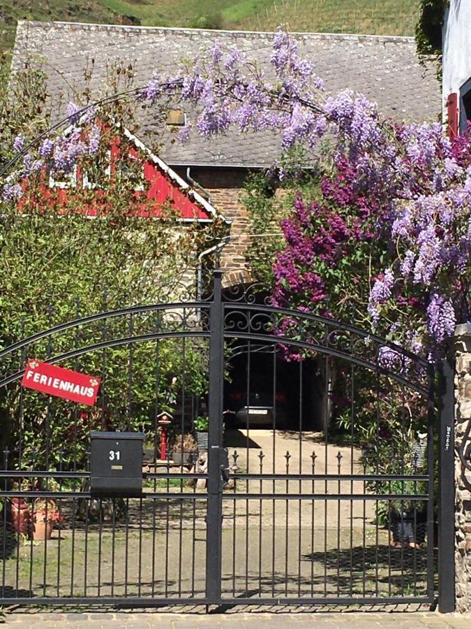 Alter Winzerhof Hébergement de vacances