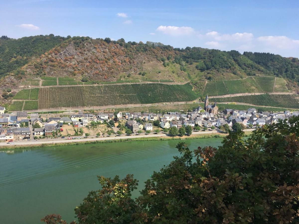 Alter Winzerhof Hébergement de vacances *